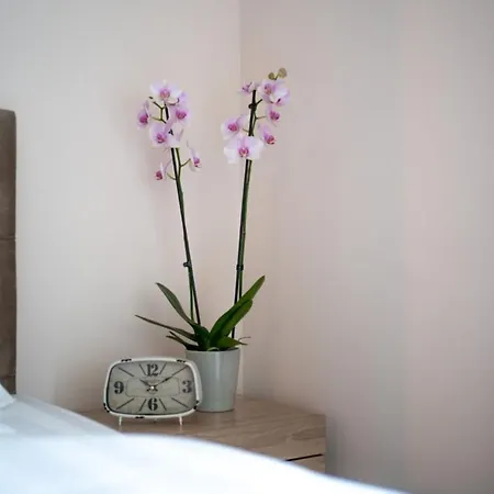 Meteora 360 By Meteora Residencies